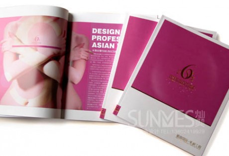 粉韵6S美胸品牌画册包装设计