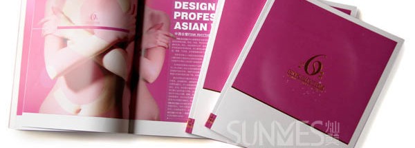 粉韵6S美胸品牌画册包装设计案例